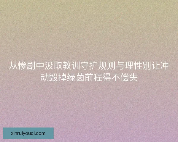 从惨剧中汲取教训守护规则与理性别让冲动毁掉绿茵前程得不偿失